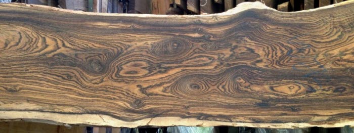 10 loại gỗ quý hiếm ngày càng cạn kiệt 