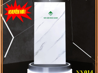 tam xop dan tuong pvc van da NX014