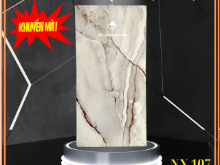 tam xop dan tuong pvc van da NX107