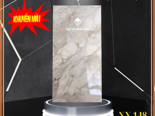 tam xop dan tuong pvc van da NX148