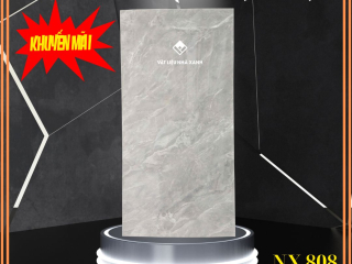 tam xop dan tuong pvc van da NX808