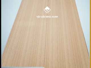 tam nhua Nano AB A0020