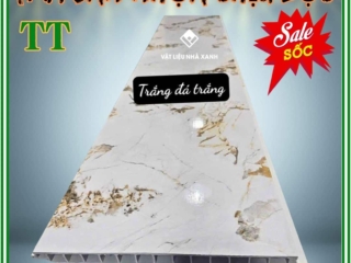 tam san nhua chiu luc TT van da trang