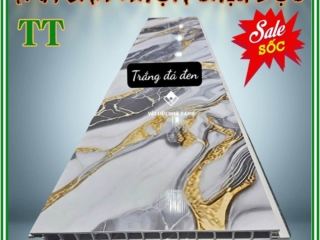 tam san nhua chiu luc TT van da trang den
