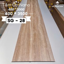 tam nhua nano sg nha xanh 17