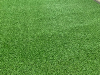 tham co nhan tao 2cm gia re 2