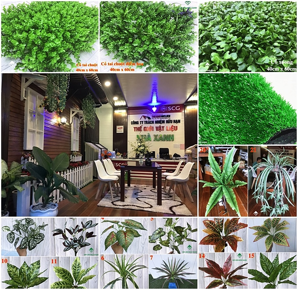 Thảm Cỏ Nhân Tạo 2cm 57 ban tham co nhan tao tphcm