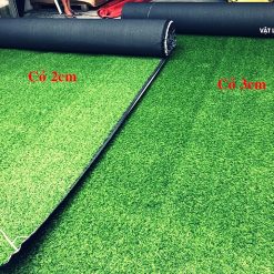 Thảm Cỏ Nhân Tạo 2cm 11 tham co nhan tao 2cm 1