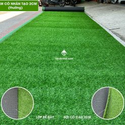 Thảm Cỏ Nhân Tạo 2cm 9 tham co nhan tao 2cm 11 mui 1