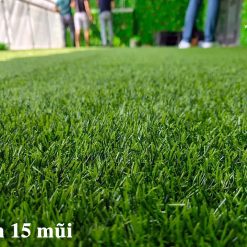 Thảm Cỏ Nhân Tạo 2cm 13 tham co nhan tao 2cm 15 mui 3