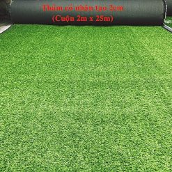 Thảm Cỏ Nhân Tạo 2cm 10 tham co nhan tao 2cm 24