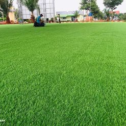 Thảm Cỏ Nhân Tạo 2cm 12 tham co nhan tao 2cm 54