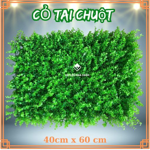 co tai chuot