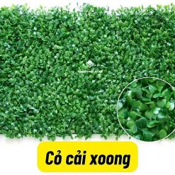 co xoong nhan tao 2