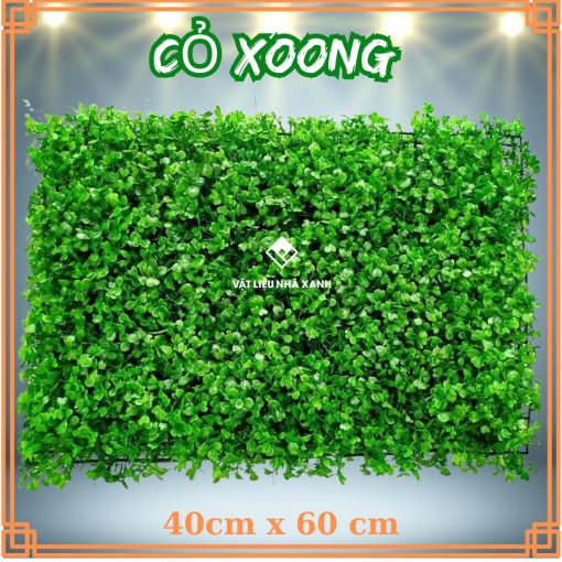 co xoong nhan tao