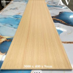 Trần Nhựa Nano Phẳng 46 tam nhua Nano AV 4